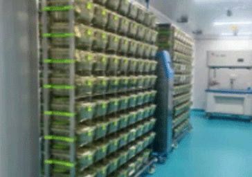 培训 | 动物实验中心培训通知（03.03-03.09）