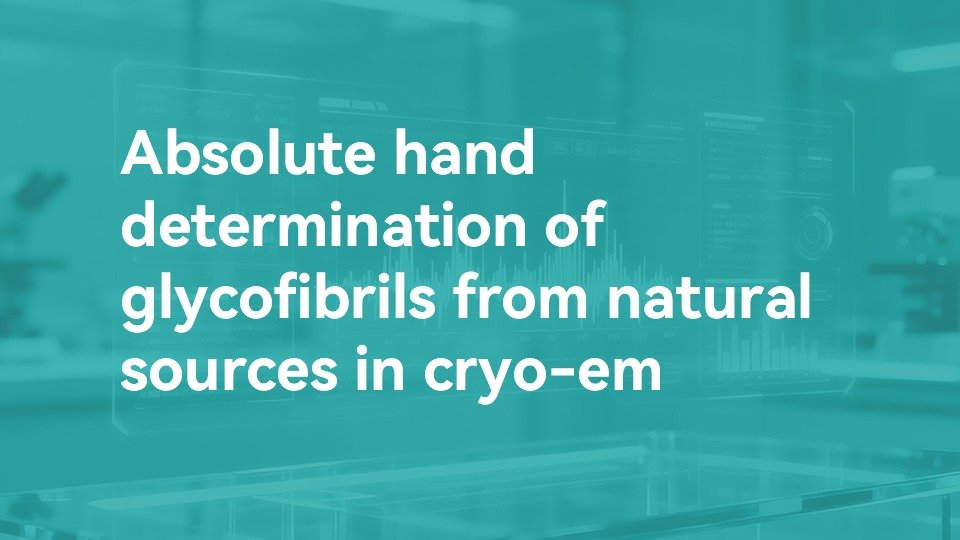 Absolute hand determination of glycofibrils from natural sources in cryo-em