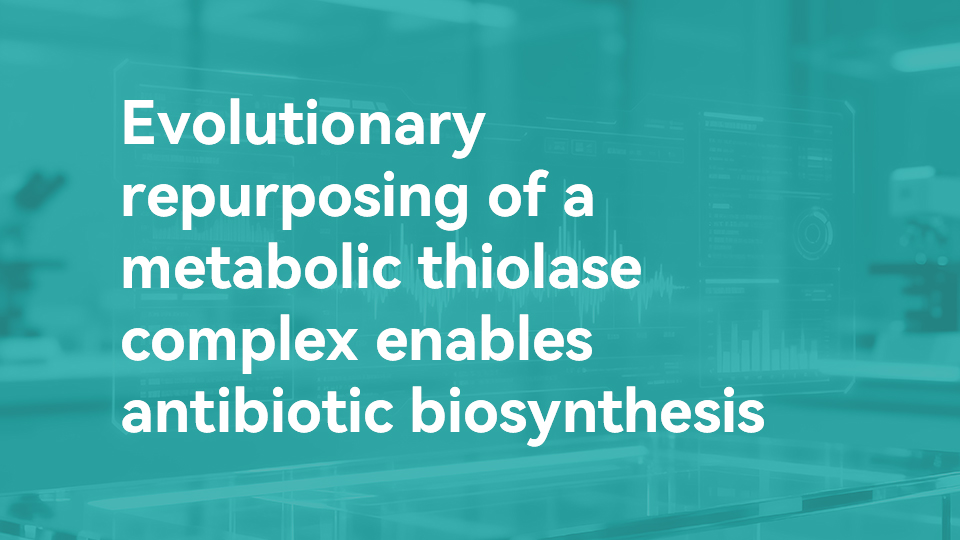 Evolutionary repurposing of a metabolic thiolase complex enables antibiotic biosynthesis
