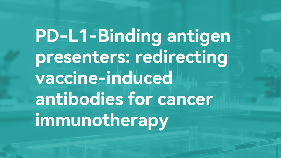 PD-L1-Binding antigen presenters: redirecting vaccine-induced antibodies for cancer immunotherapy