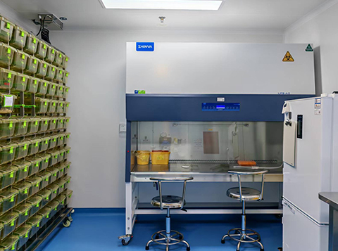 ABSL-2 Animal Research Services